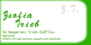 zsofia trieb business card